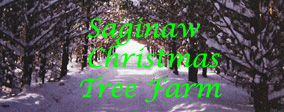 Logo links to Saginaw Christmas Tree Farm Website
